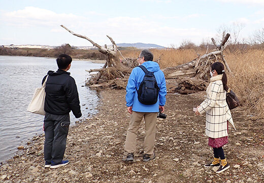 淀川水系における環境に配慮した水制の実地調査