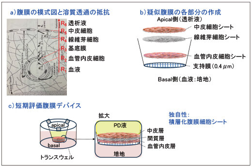 研究のコンセプトを示した図